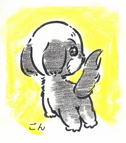 案内犬 ごん 案内犬 ごん